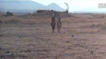 巡城马,穿梭都市的守护者与见证者