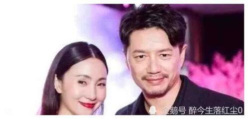 全娱乐圈的明星都在听我吃瓜小说,全民追捧的吃瓜小说